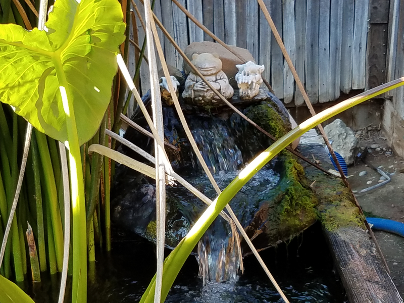 Waterfall I built.
